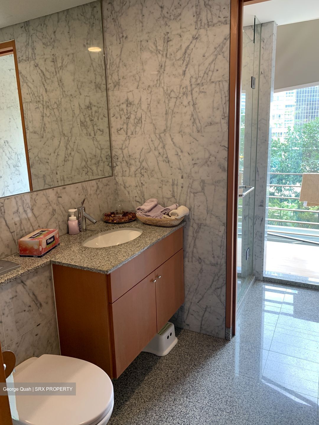 The Edge On Cairnhill (D9), Condominium #611914621